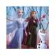 Puzzle 3 in 1 - Frozen II (3 x 55 piese) Puzzle 3 in 1 - Frozen II (3 x 55 piese)